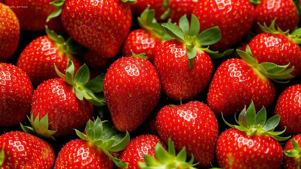 Министерство сельского хозяйства Подмосковья дало советы по выбору спелой клубники