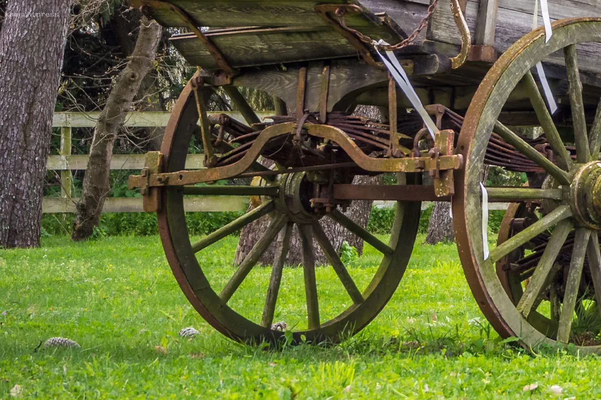 В США обнаружены примитивные транспортные следы доисторической эпохи