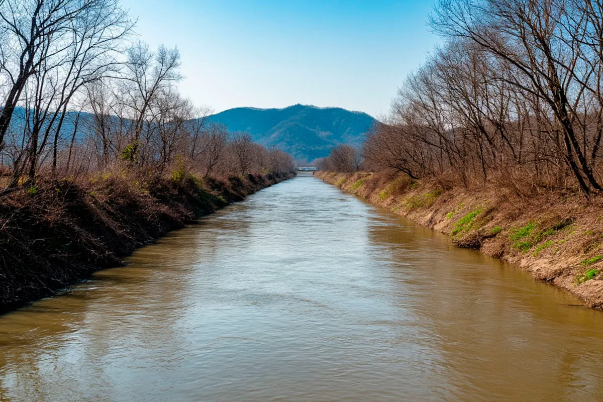 Приморье укрепляет дамбы и реки после разрушений от тайфуна «Ханун»