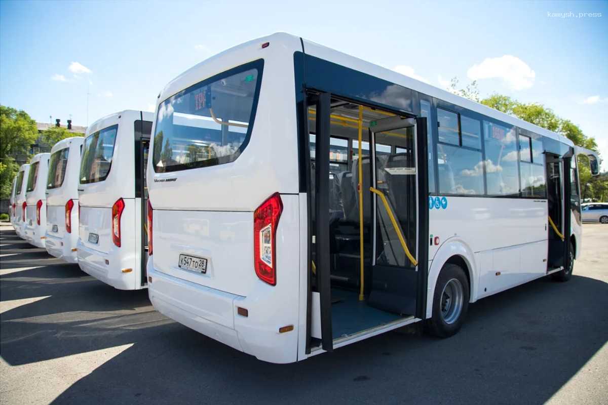 В Благовещенске перевозчик, выводивший на линию по 1-2 автобуса вместо 10, попал в список недобросовестных