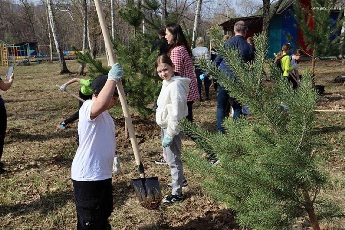 В лагере «Олимп» в Хабаровске появилась Аллея памяти, которую посадили чиновники и спортсмены