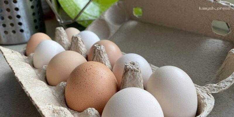 В Минсельхозе Новосибирской области рассказали об уровне производства куриных яиц в регионе