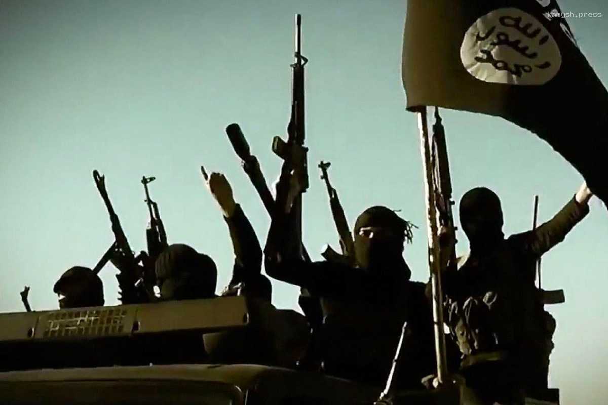ИГИЛ заявило, что террористы из «Крокус Сити» планировали вступить в бой с полицией