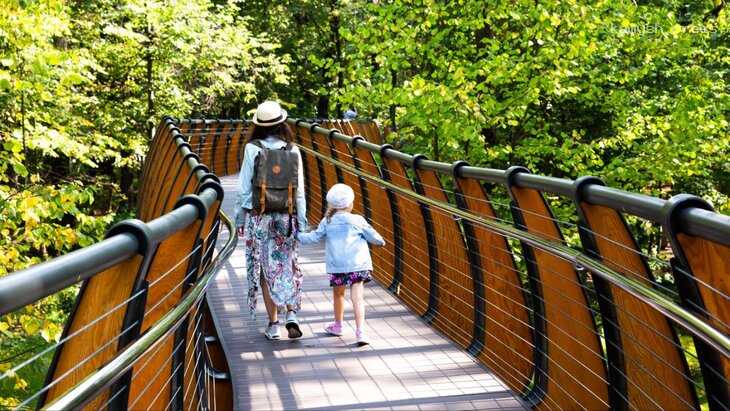 В Москве на ВДНХ обновили известный туристический маршрут