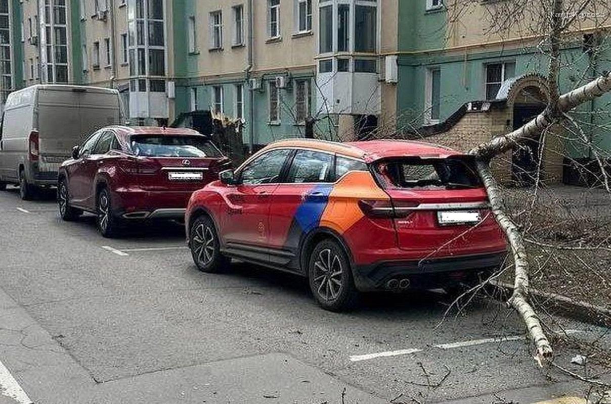 Из-за штормового ветра в Москве два человека погибли, 17 пострадали, на месте ЧП работают оперативные службы