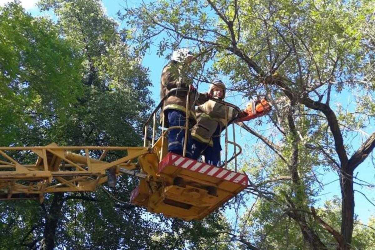 На липецких улицах станет безопаснее