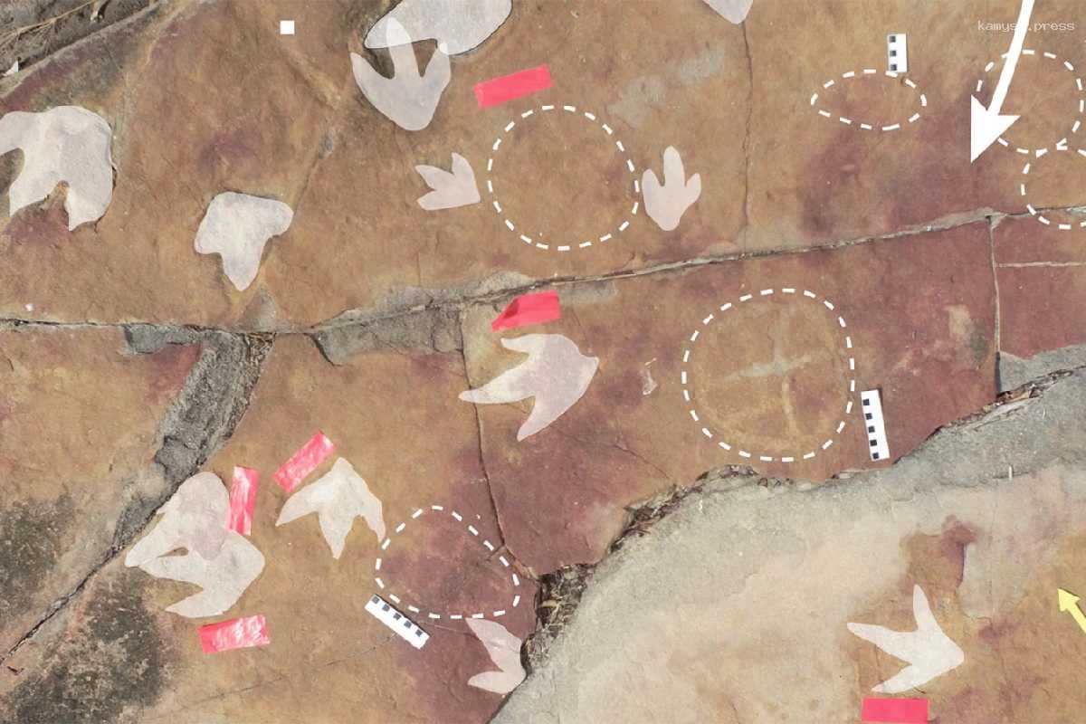 Древние жители Бразилии оставили рисунки рядом со следами динозавров