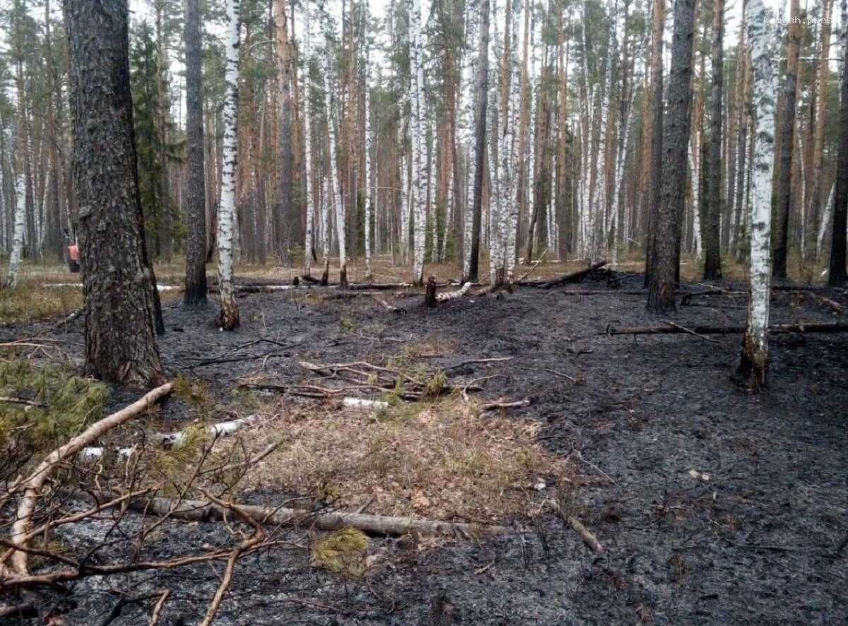 В Марий Эл горожанам запрещено разводить костры