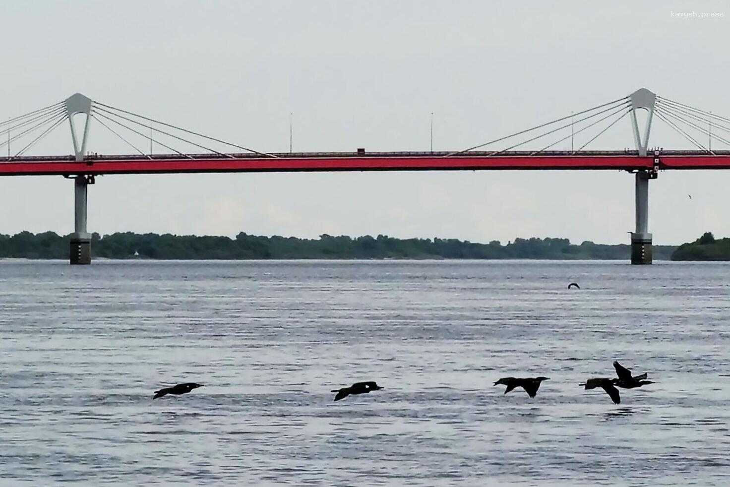 Уровень Амура в районе Благовещенска превышает норму