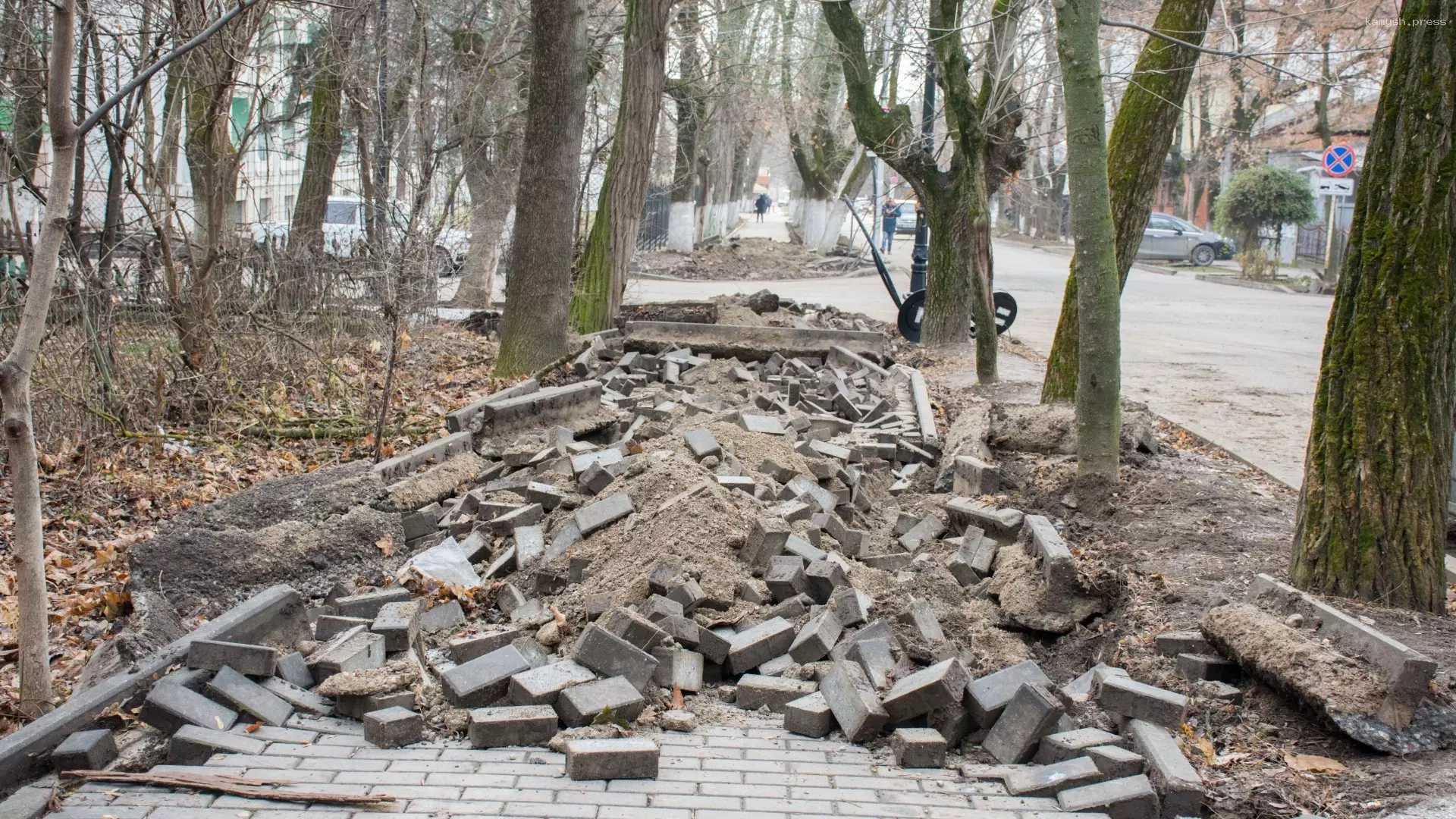 Популярный белгородский парк закрыли на полгода