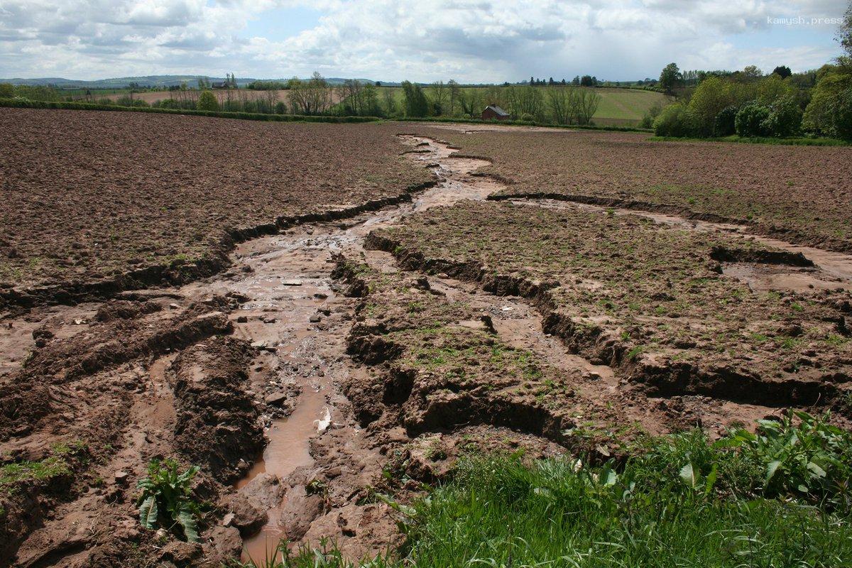 Российские специалисты нашли способ борьбы с эрозией почвы
