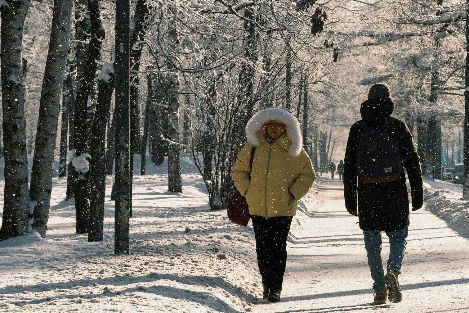 Вильфанд прогнозирует аномальные холода в нескольких регионах России