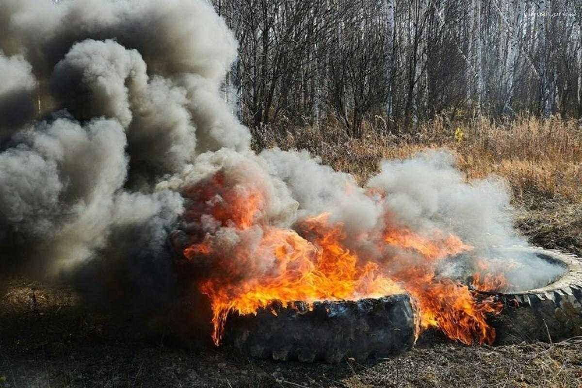 В Воронеже ощущался сильный запах гари