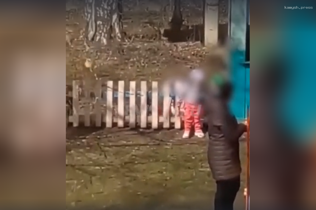 В Нижегородской области отстранили воспитательницу за подвешенного на заборе ребёнка