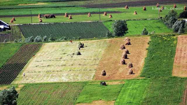 Власти В Молдавии объяснили последствия закрытия местного рынка для защиты фермеров