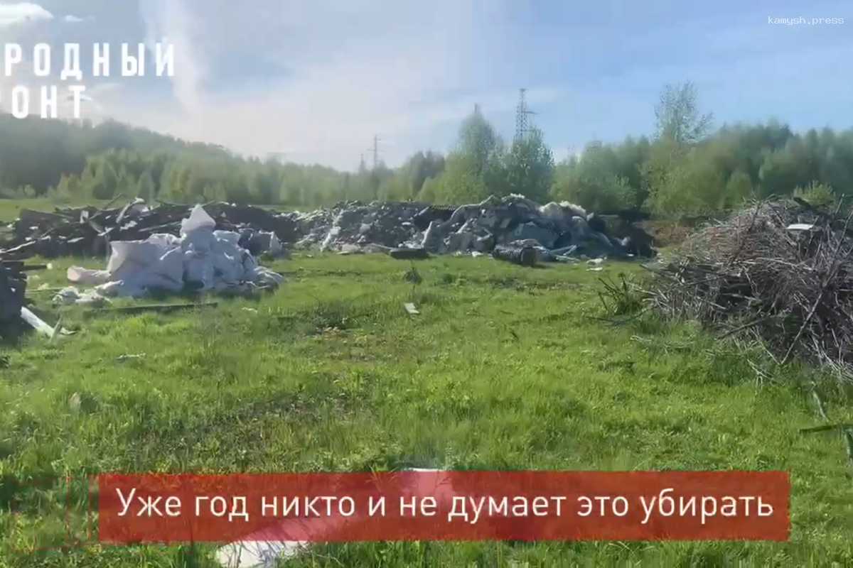 ОНФ обратился в прокуратуру и СК из-за незаконной свалки в Челябинске