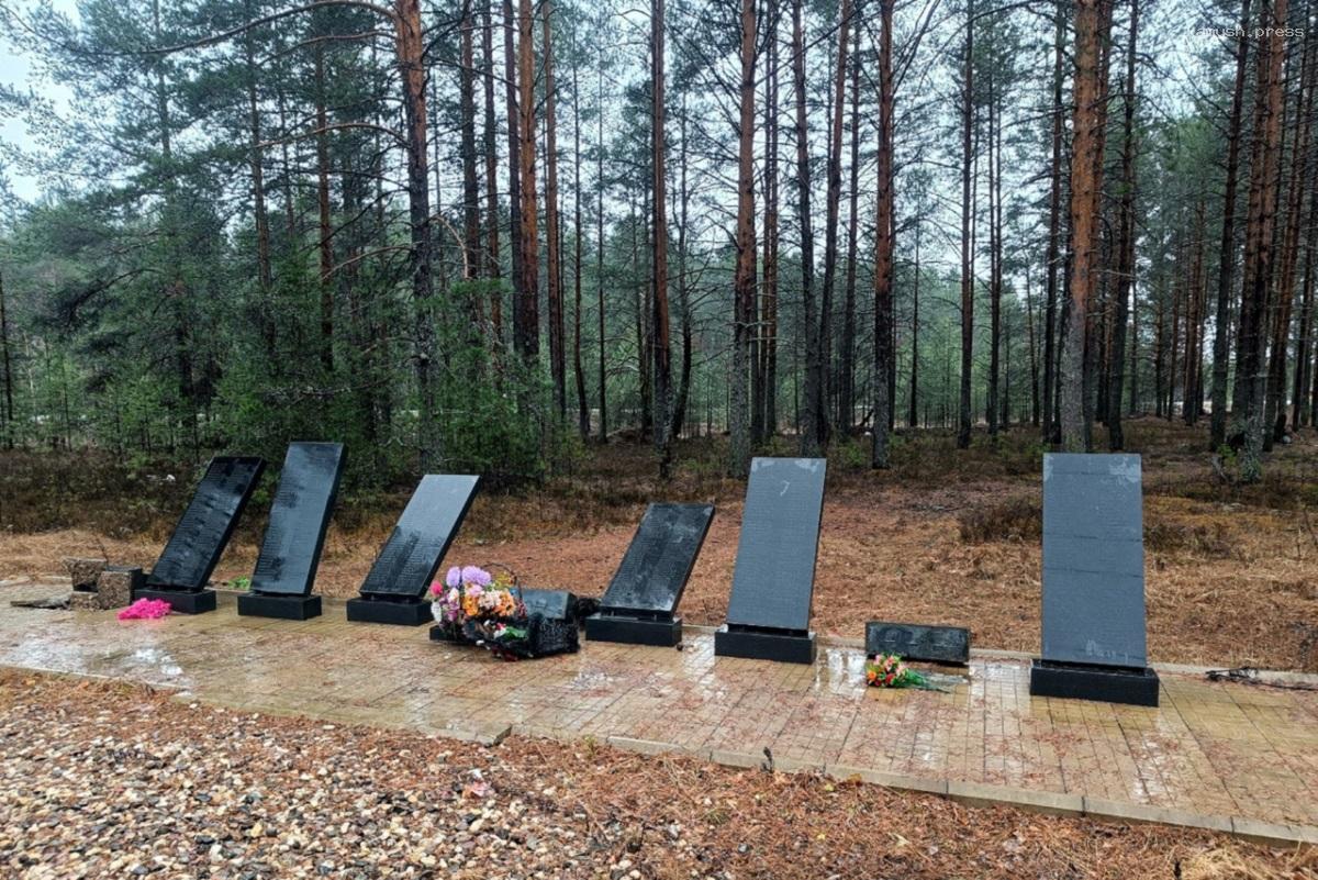 В Костромской области СК завел дело после повреждения мемориала участникам ВОВ, следователи настаивают на аресте подозреваемого