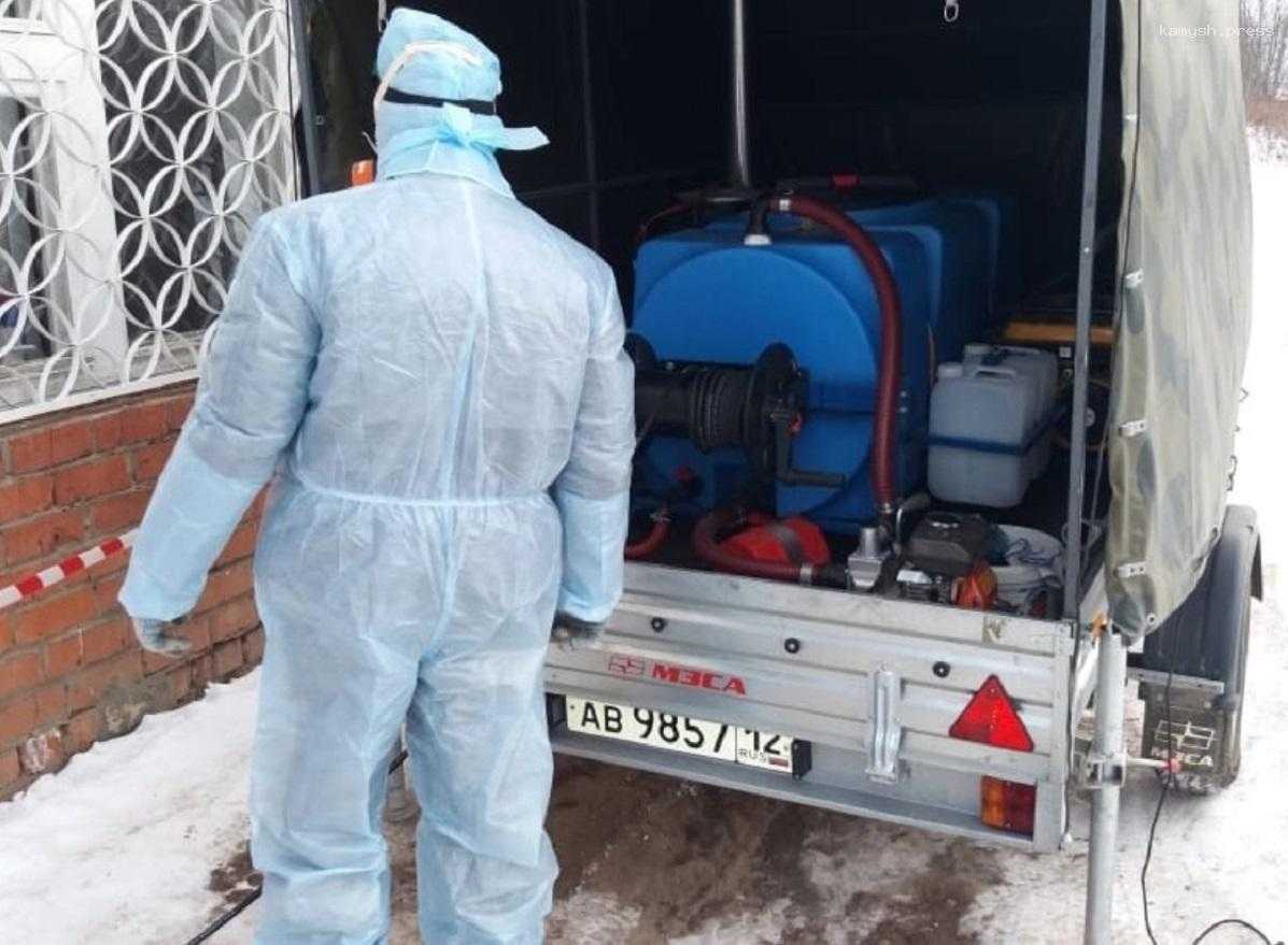 Очаг африканской чумы был обнаружен в Горномарийском районе Марий Эл