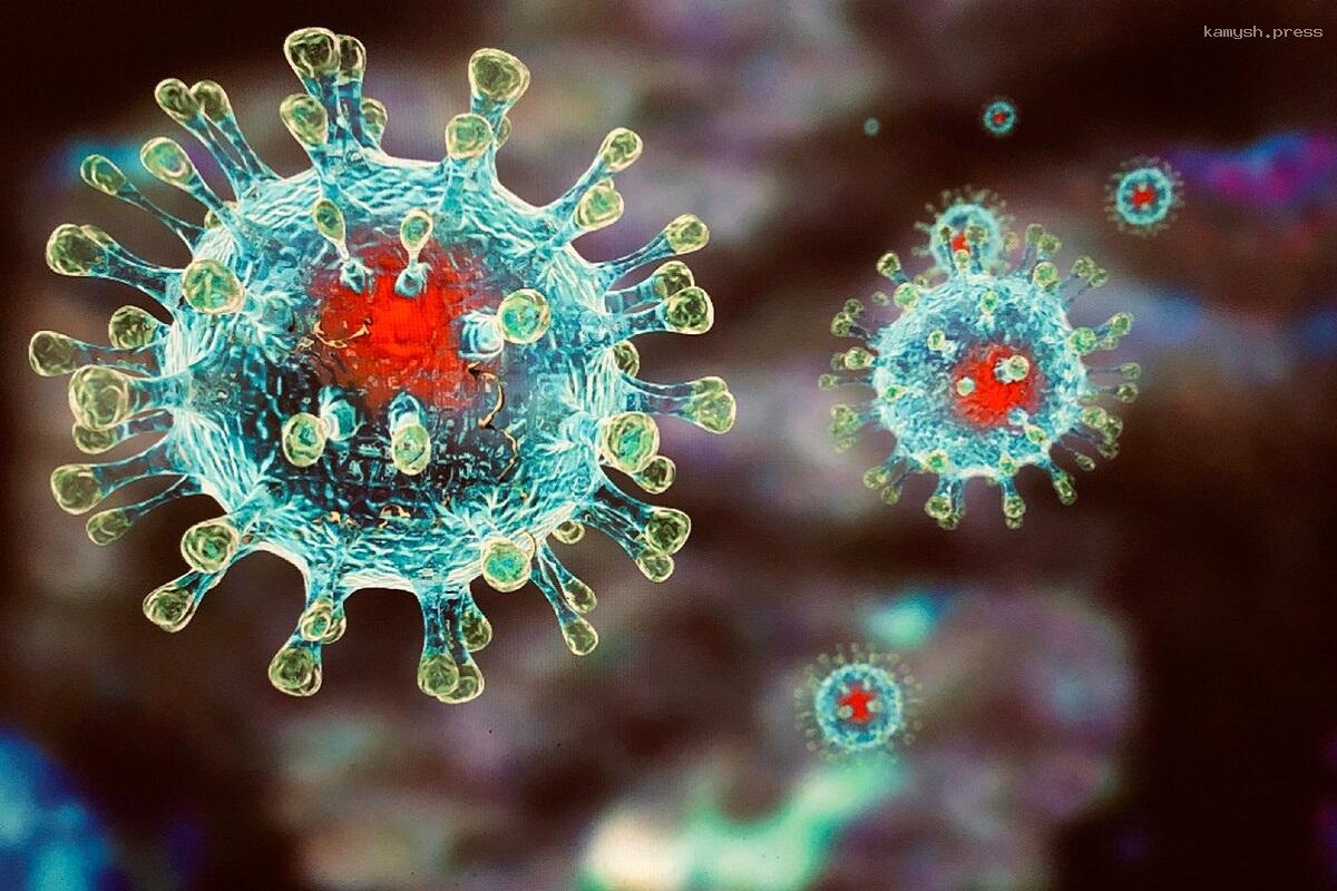 Вирусолог Нетесов заявил, что вместо снизившего активность коронавируса придет новый подтип гриппа