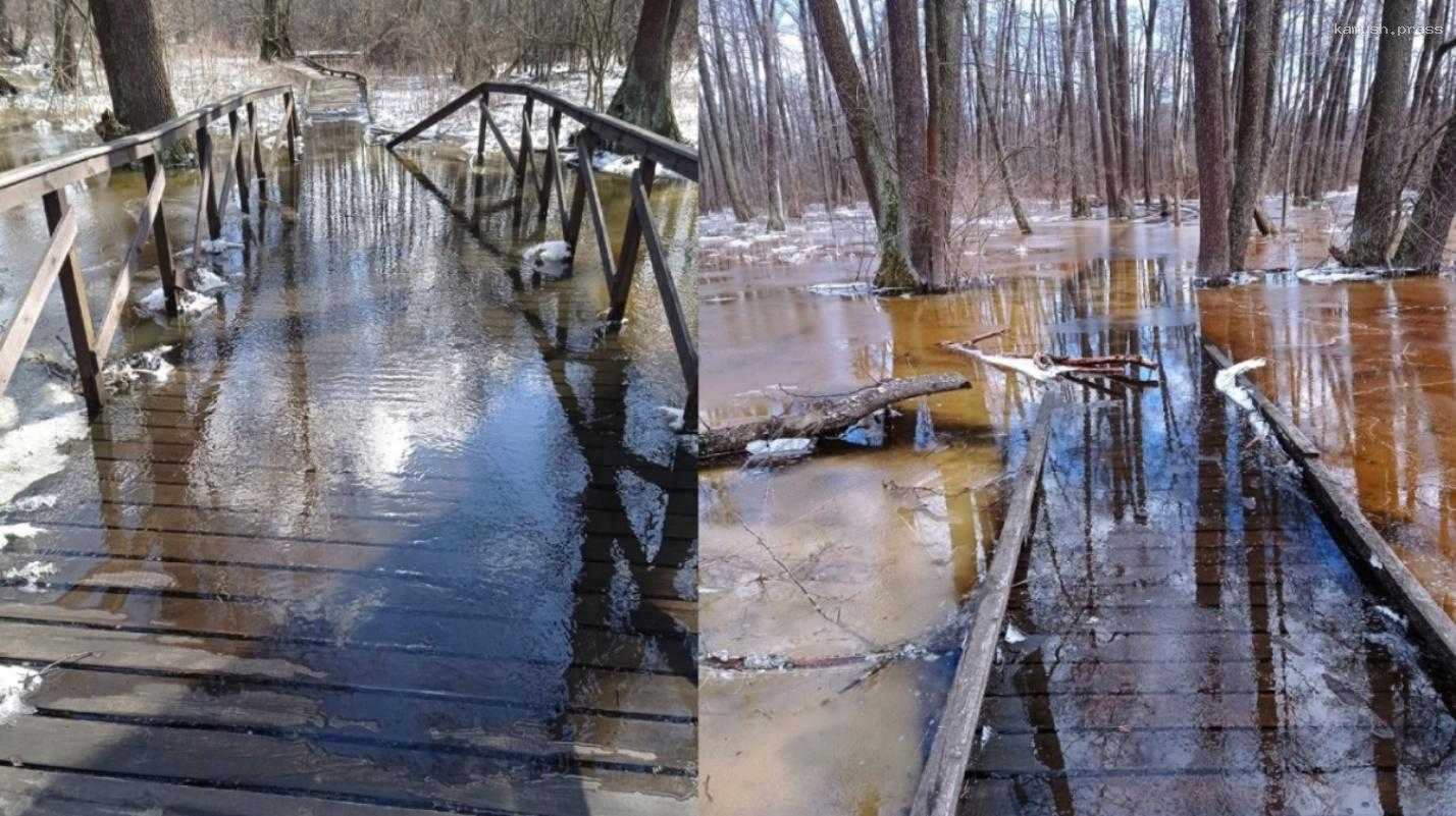 В Воронежском заповеднике паводком затопило экотропу