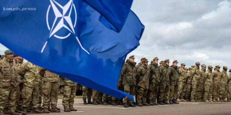 СМИ узнали условие, при котором НАТО может вступить в войну в Украине