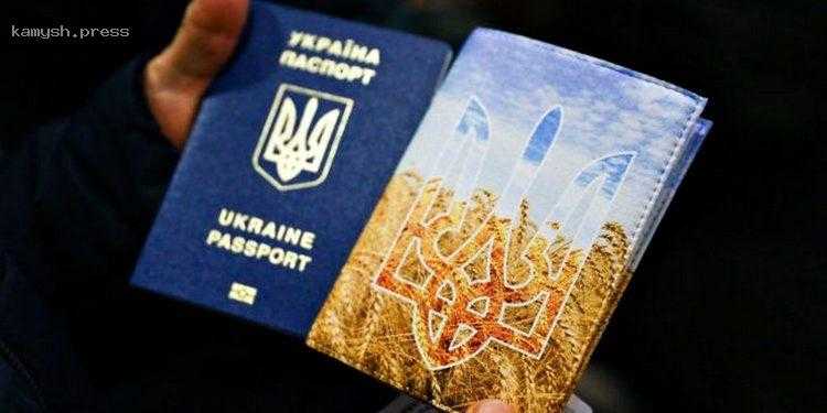 В Раде объяснили, будут ли депортировать «уклонистов» в Украину после принятия «мобилизационного» законопроекта