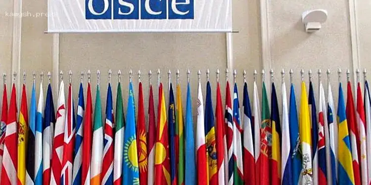 РФ отозвала свою делегацию из Парламентской ассамблеи ОБСЕ из-за «тотальной русофобии»