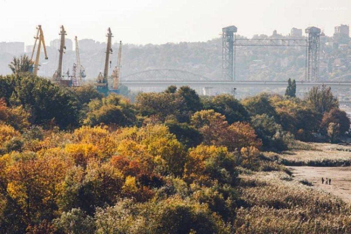В Ростове в рамках эко-пикника гости смогут высадить деревья