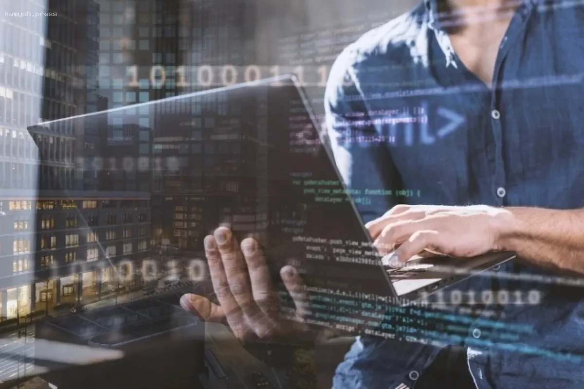 Спрос на IT-услуги в Новосибирской области вырос в 2,5 раза