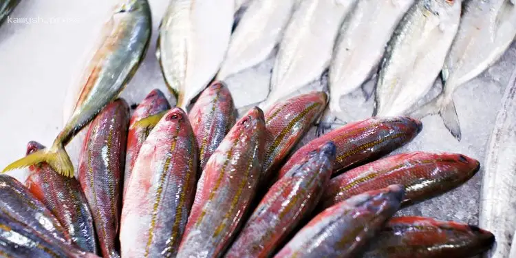 В украинских супермаркетах существенно подорожала морская и речная рыба