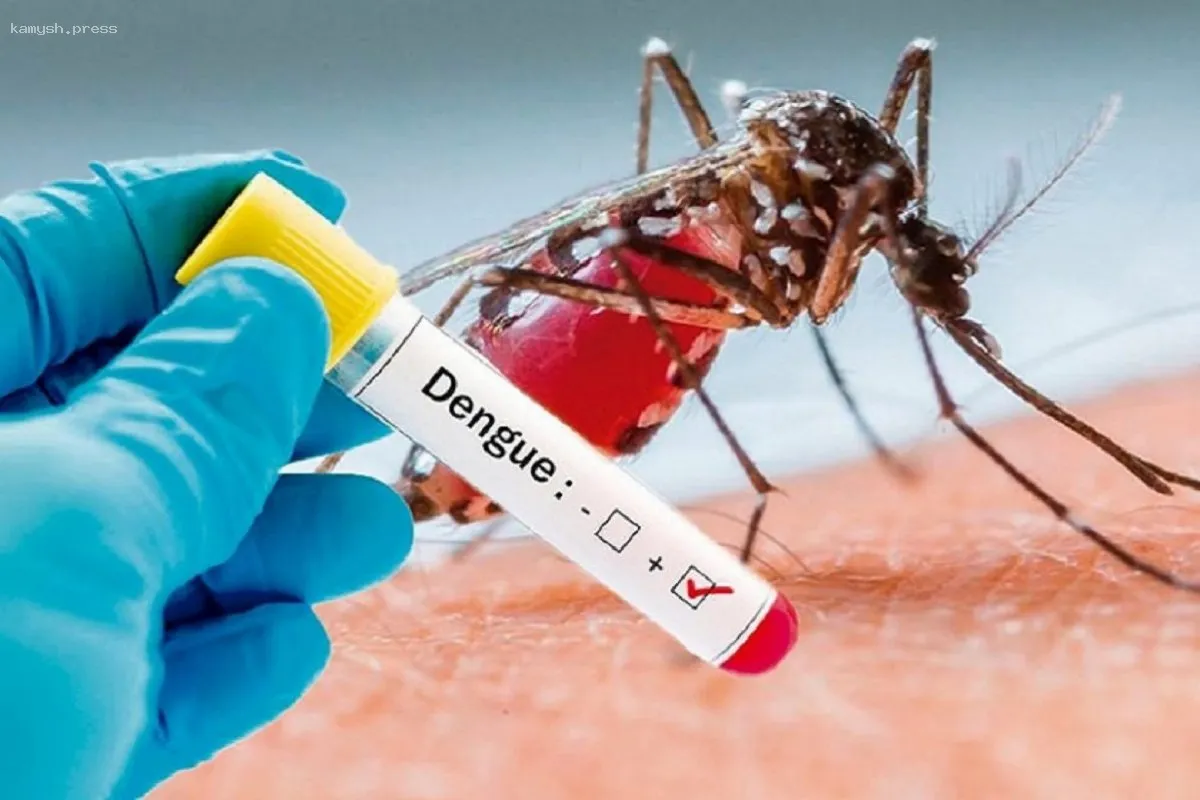 В Египте произошла вспышка лихорадки денге