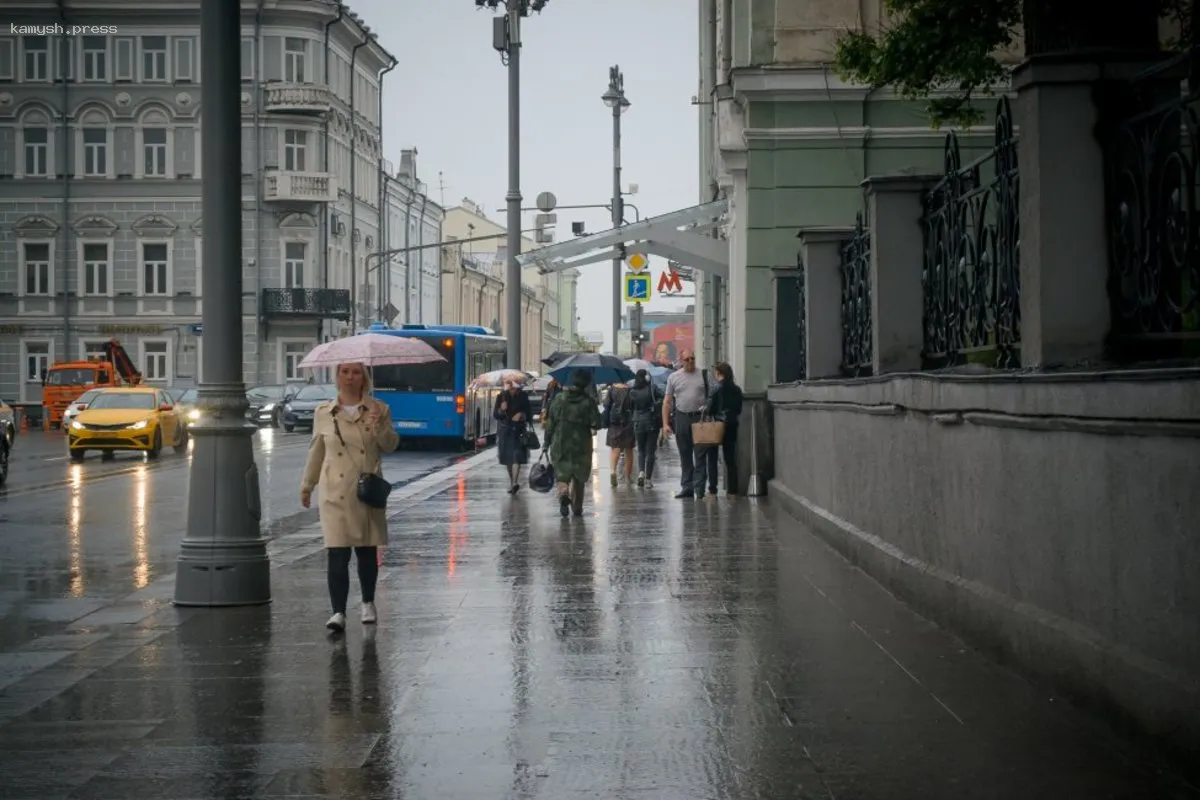 Тишковец: За сутки в Москве выпало 55% осадков от нормы