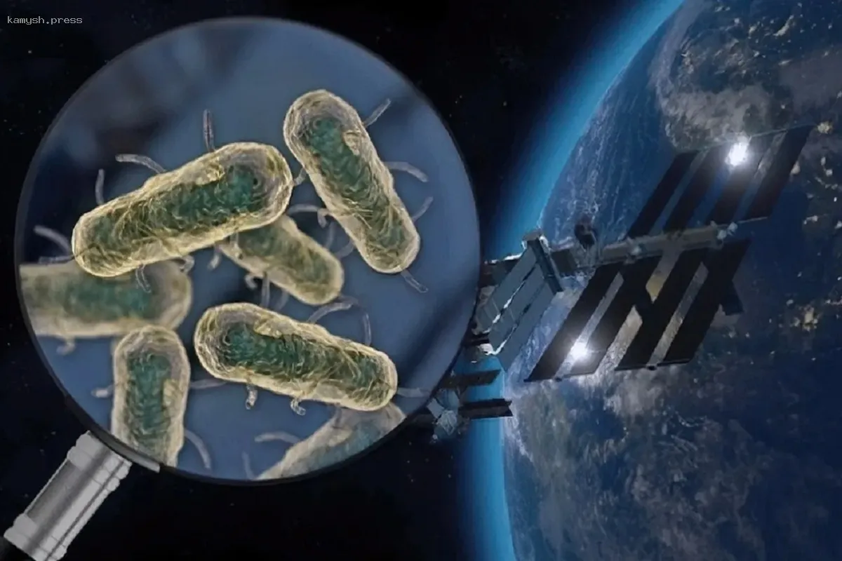 Обнаруженные на МКС бактерии  устойчивы к космической радиации и сохраняют активность после попадания в благоприятную среду