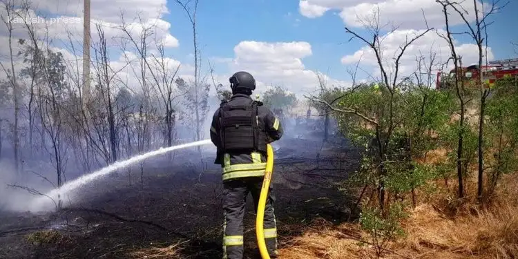 Обстрелами РФ сожжены гектары сельскохозяйственных угодий на Херсонщине — ГСЧС (ФОТО)