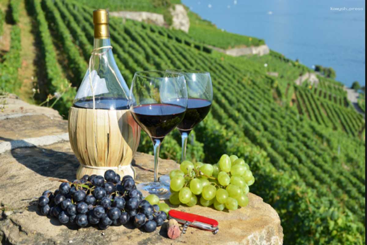 Возрождение традиционного виноделия в Крыму институтом «Магарач»