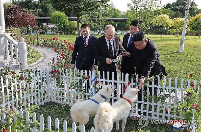 Путин пока не дал клички собакам, которых ему подарил Ким Чен Ын