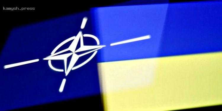 Какой процент граждан откажется от членства Украины в НАТО ради завершения войны – соцопрос КМИС