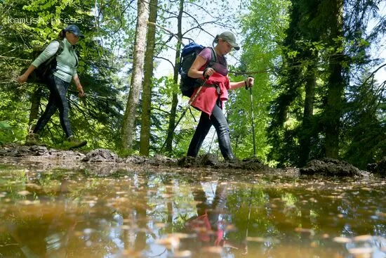 В Европе произошёл всплеск антитуристического настроения