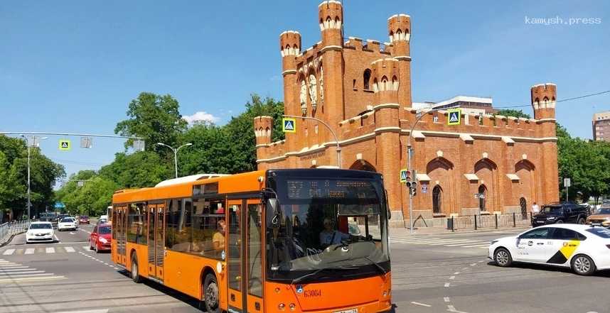 Жители Калининграда задыхаются в автобусах из-за жары