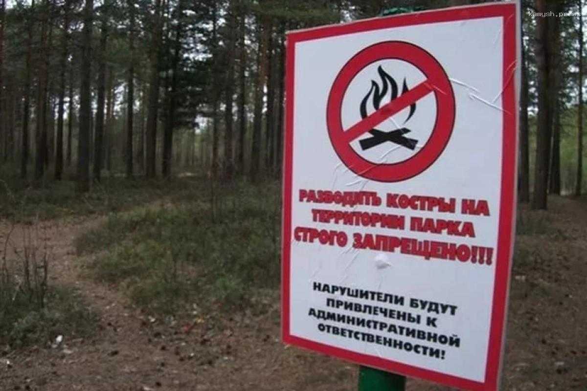 В Волгоградской области с 6 июня запрещается посещать леса и жечь костры