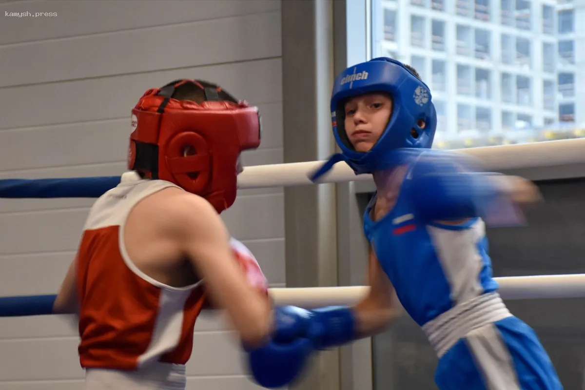 В городском округе Пушкинский прошло зональное первенство Подмосковья по боксу