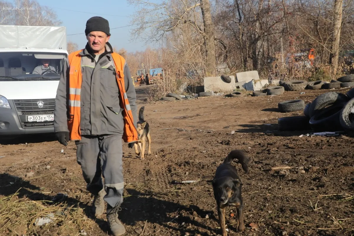 Сотрудники МУП «САХ» в Новосибирске взяли шефство над собаками, охраняющими городские свалки