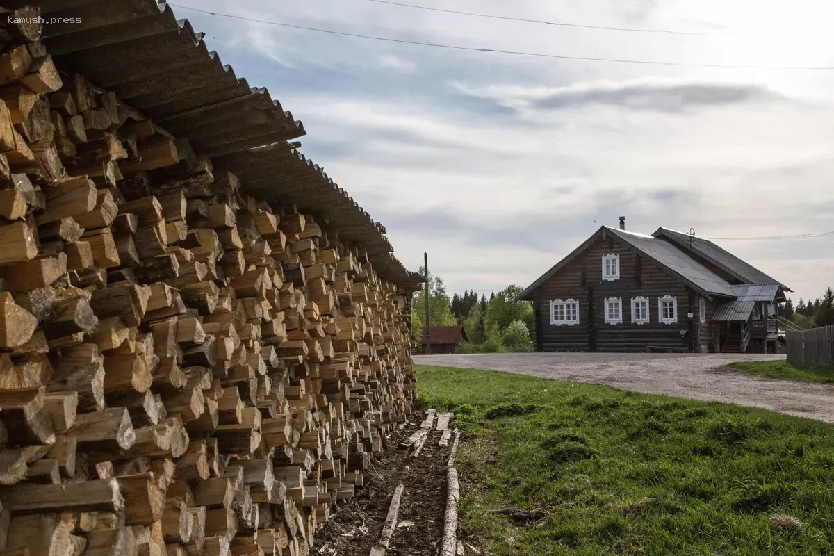 Почти 3000 многодетных семей в Туве получат бесплатные дрова и уголь