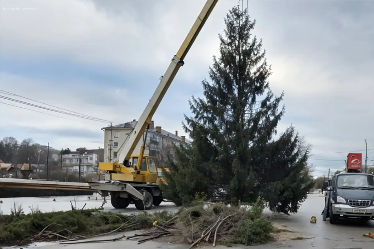 В Димитровграде Ульяновской области спилили главную елку во дворе частного дома