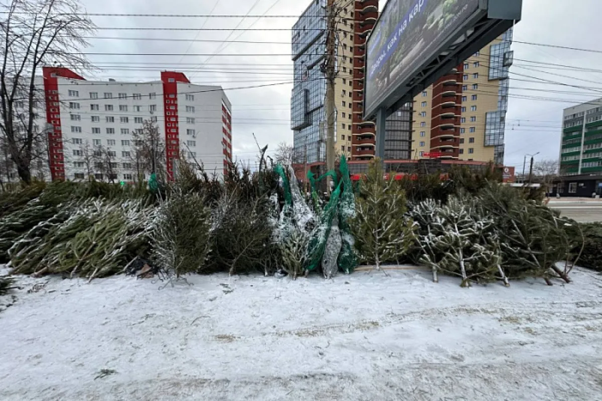 Елочные базары убрали с улиц Челябинска