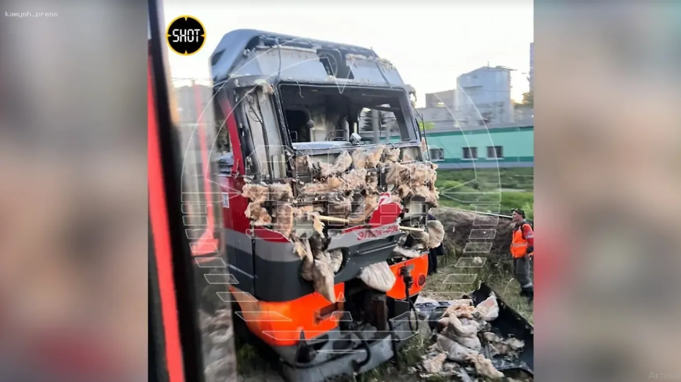 Официантка и двое ее друзей подожгли электровоз в Москве за вознаграждение