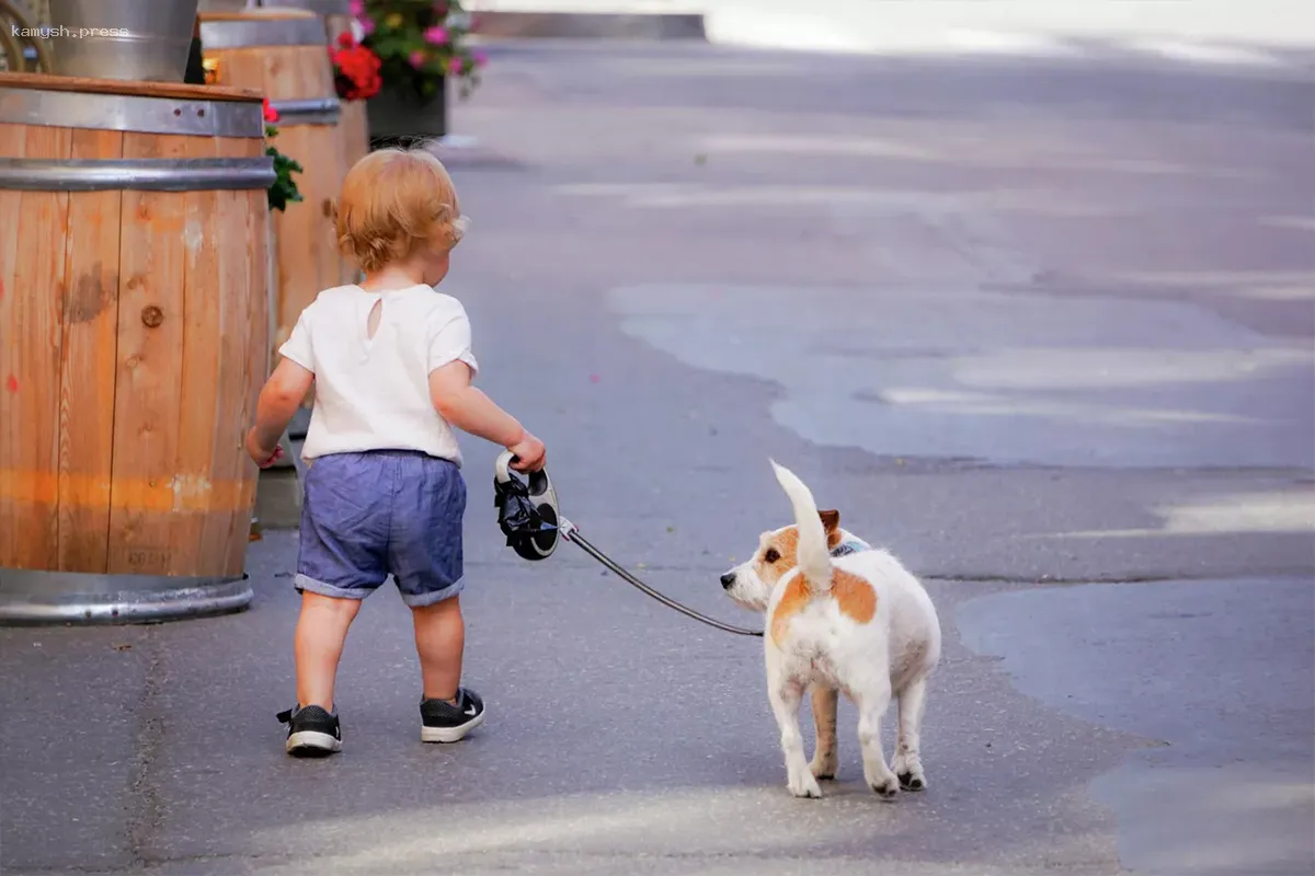 В Новосибирске рассказали, каких собак нельзя выгуливать детям до 14 лет