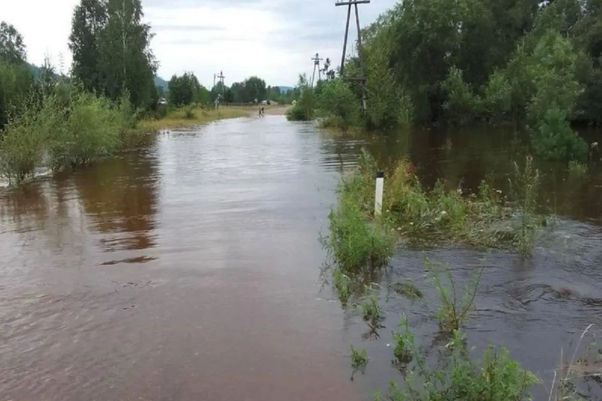 В Тайшетском районе Приангарья число подтопленных приусадебных участков увеличилось до 53, ситуация на контроле МЧС