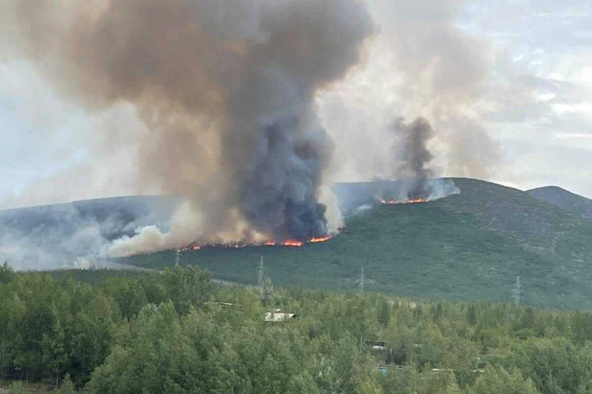 МЧС по Магаданской области предупредило об угрозе лесных пожаров