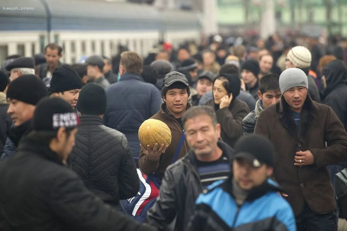 В Екатеринбурге проведут проверку по факту незаконного проживания мигрантов в подвале